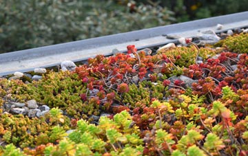 the cost of Fangfoss green roof installation