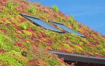 Fangfoss living roof systems