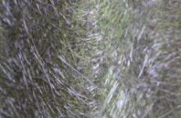 Fangfoss fibreglass roof work